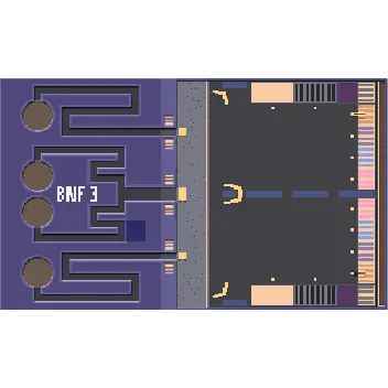 BNF 3 v5 - Ground only